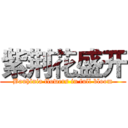 紫荆花盛开 (Bauhinia flowers in full bloom)