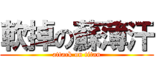 軟掉の蘇薄汗 (attack on titan)