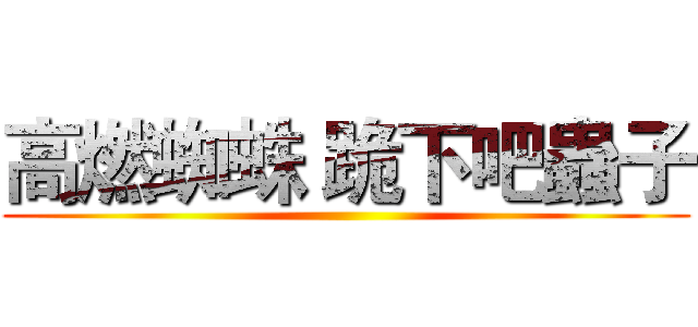 高燃蜘蛛 跪下吧蟲子 ()
