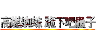 高燃蜘蛛 跪下吧蟲子 ()