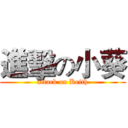 進擊の小葵 (attack on Keith)