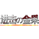进击の金果 (attack on titan)