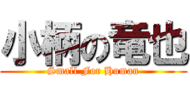 小柄の竜也 (Small For Human)