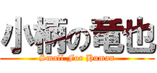小柄の竜也 (Small For Human)