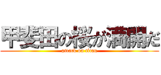 甲斐田の桜が満開だ (attack on titan)