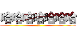 哈哈哈哈哈哈哈 (哈哈哈哈)