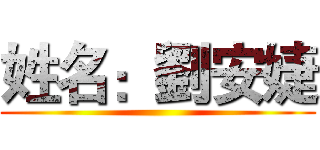 姓名：劉安婕 ()