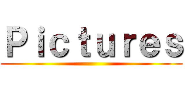 Ｐｉｃｔｕｒｅｓ ()