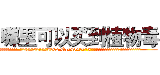 哪里可以买到植物毒 (哪里可以买到植物毒【电.话186x0156x9662-Q194843976林氏药业】我们做的是长期生意,靠的是老客户长期支持
参考消息网2月20日报道 韩媒称，“剩女多、离婚率高的城市，房价一定会上涨。”这是中国经济学家金岩石2016年12月参加在上海举行的房地产相关论坛时说的话。
)