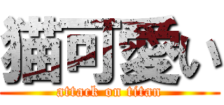 猫可愛い (attack on titan)