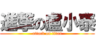 進撃の盧小泰 (attack on titan)