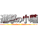 進撃の小瞳 (attack on titan)