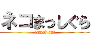 ネコまっしぐら (smash cat)