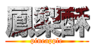 鳳梨酥 (pineapple)