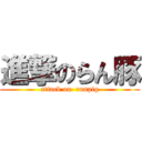 進撃のらん豚 (attack on  runpig)