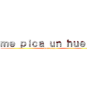 ｍｅ ｐｉｃａ ｕｎ ｈｕｅｖｏ (y duele mucho)