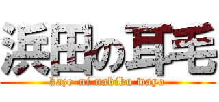 浜田の耳毛 (kaze-ni nabiku wayo)