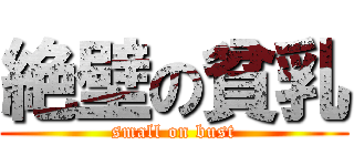 絶壁の貧乳 (small on bust)