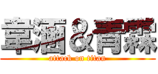 韋涵＆青霖 (attack on titan)