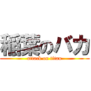 稲葉のバカ (attack on titan)