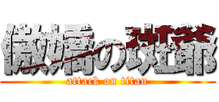 傲嬌の斑爺 (attack on titan)