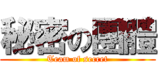 秘密の團體 (Team of secret)