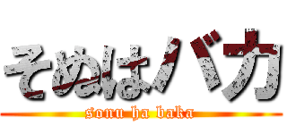 そぬはバカ (sonu ha baka)