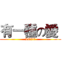 有一種の愛  (LOVE)