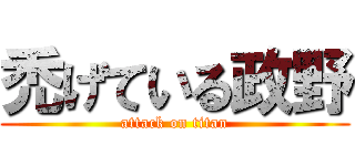 禿げている政野 (attack on titan)