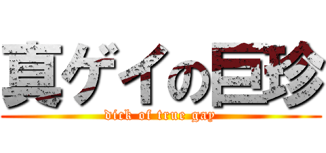 真ゲイの巨珍 (dick of true gay)