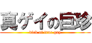 真ゲイの巨珍 (dick of true gay)