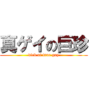 真ゲイの巨珍 (dick of true gay)