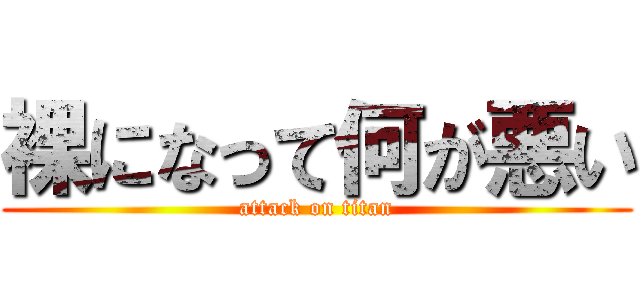 裸になって何が悪い (attack on titan)