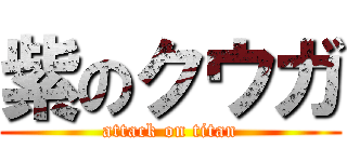 紫のクウガ (attack on titan)