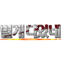 별게다있네 (jamidda)