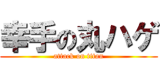 幸手の丸ハゲ (attack on titan)