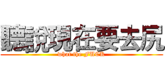 聽說現在要去尻 (what the FUCK)