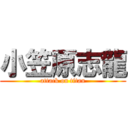 小笠原志龍 (attack on titan)