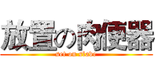 放置の肉便器 (set on slave)