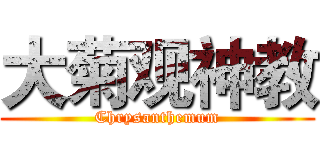 大菊观神教 (Chrysanthemum)