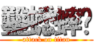 鑿蟋蟀滁 (attack on titan)