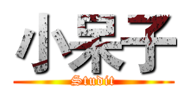 小呆子 (Studit)