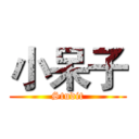 小呆子 (Studit)