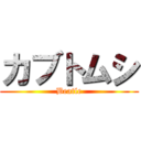 カブトムシ (Beatle)