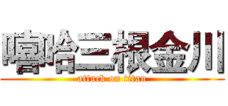 嘻哈三根金川 (attack on titan)