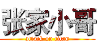 张家小哥 (attack on titan)