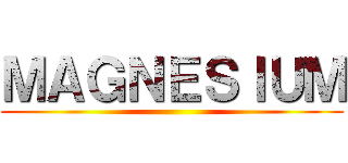 ＭＡＧＮＥＳＩＵＭ ()