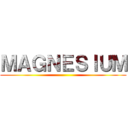 ＭＡＧＮＥＳＩＵＭ ()
