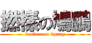 撚樣の鳩鵬 (lunface on 9pang)