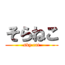 そらねこ (sky cat)